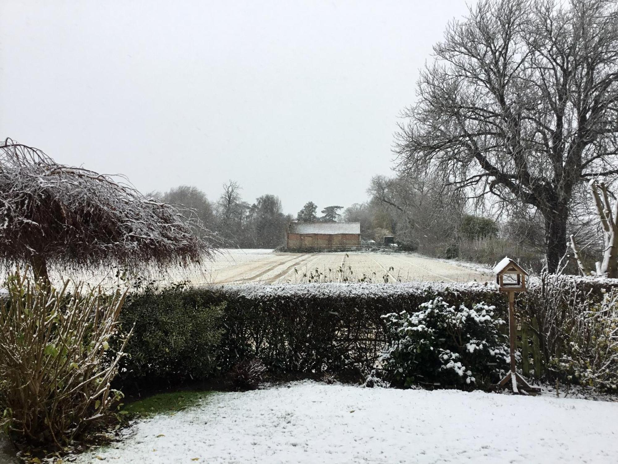 Greenbank Cottage Hilgay 外观 照片